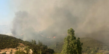 (Φωτ.: ertnews.gr)