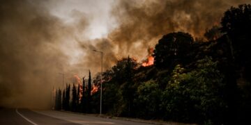 Στιγμιότυπο από τις φωτιές στην περιοχή της Λαμίας (φωτ.: EUROKINISSI/Νάσος Σιμόπουλος)
