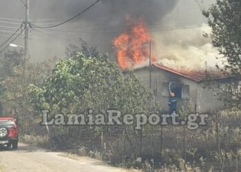 Στιγμιότυπο από τη φωτιά στη βόρεια πλευρά της Λαμίας (φωτ.: Lamiareport.gr)