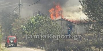 Στιγμιότυπο από τη φωτιά στη βόρεια πλευρά της Λαμίας (φωτ.: Lamiareport.gr)