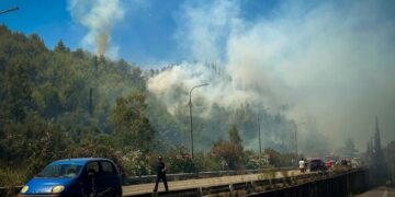Φωτιά σε δασική έκταση στην περιοχή της Ηλείας (φωτ.: EUROKINISSI/iliealive.gr/Γιάννης Σπυρούνης)