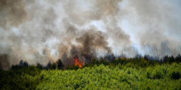 Οριοθετημένες είναι πλέον οι πυρκαγιές στις περιοχές της Ηλείας (φωτ.: EUROKINISSI/iliealive.gr/Γιάννης Σπυρούνης)