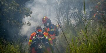 Οι επίγειες δυνάμεις στο μέτωπο της Παλαιοβαρβάσαινας επιχειρούν με 35 οχήματα, 2 υδροφόρα, 70 πυροσβέστες και 24 μέλη της δύναμης πεζοπόρων (φωτ.: EUROKINISSI/ileialive.gr/Γιάννης Σπυρούνης)