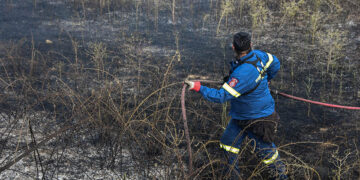 (Φωτ. αρχείου: 
(EUROKINISSI / Βασίλης Παπαδόπουλος)