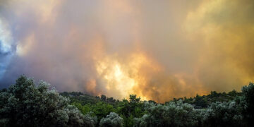 (Φωτ.: EUROKINISSI / Αργύρης Μαντίκος)