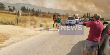 Στιγμιότυπο από τη φωτιά που καίει στο Βελεστίνο (φωτ.: ertnews.gr)