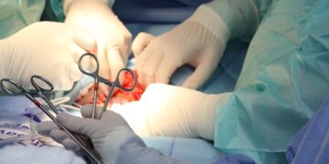 (Φωτ.: Pixabay/deborabalves)