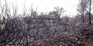 Αποκαΐδια από τη φωτιά στην Πάρνηθα (φωτ.: Κώστας Τζούμας / EUROKINISSI)