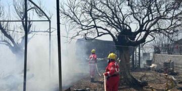 Εικόνα από το Σαράντη Βοιωτίας, όπου ξέσπασε μεγάλη φωτιά. Εκεί επιχείρησαν εθελοντές Σαμαρείτες-Διασώστες από την Αθήνα και τα Περιφερειακά Τμήματα Λιβαδειάς και Θήβας του Ελληνικού Ερυθρού Σταυρού (φωτ.: ΑΠΕ-ΜΠΕ/ ΕΛΛΗΝΙΚΟΣ ΕΡΥΘΡΟΣ ΣΤΑΥΡΟΣ/ STR)