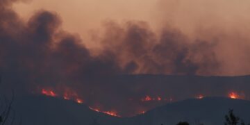 Εικόνα από τη φωτιά που άρχισε από το χωριό Διαλεκτό, στο δήμο Νέστου (φωτ.: Βασίλης Βερβερίδης / ΜΟΤΙΟΝ ΤΕΑΜ)