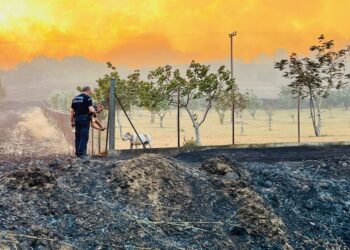 Αστυνομικοί κόβουν τα σύρματα σε οικόπεδο στην Αλεξανδρούπολη για να απελευθερώσουν έναν σκύλο, με φόντο το πύρινο μέτωπο (φωτ.: twitter.com/hellenicpolice)