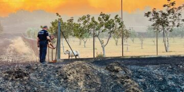 Αστυνομικοί κόβουν τα σύρματα σε οικόπεδο στην Αλεξανδρούπολη για να απελευθερώσουν έναν σκύλο, με φόντο το πύρινο μέτωπο (φωτ.: twitter.com/hellenicpolice)