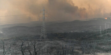 Καμένη έκταση στην περιοχή του του Προφήτη Ηλία, στη Μάκρη Αλεξανδρούπολης (φωτ.: ΑΠΕ-ΜΠΕ / Δημήτρης Αλεξούδης)