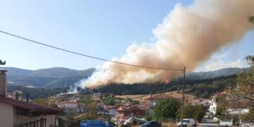 Φλόγες διακρίνονται στο δάσος κοντά στη Δεσκάτη (φωτ.: e-ptolemeos.gr/Κώστας Μάρκου)