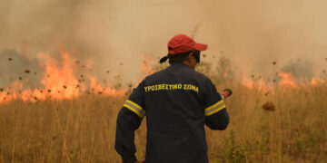 (Φωτ.: ΑΠΕ-ΜΠΕ / Δημήτρης Αλεξούδης)