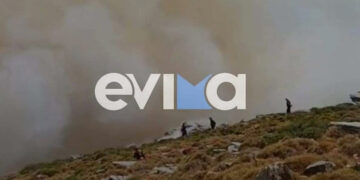 Πυροσβέστες στην περιοχή Μελισσώνας Καρύστου (φωτ.: evima.gr)