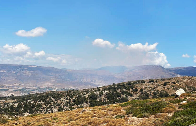 Ακόμα και από απόσταση είναι ορατός ο καπνός από τη φωτιά στην περιοχή Μελισσώνας Καρύστου (φωτ.: Facebook / Πυρκαγιά Ενημέρωση / Γιώργος Κουφόπουλος)