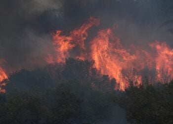 Φλόγες καταπίνουν τα δάση στον Έβρο (φωτ.: ΜΟΤΙΟΝΤΕΑΜ/Βασίλης Βερβερίδης)
