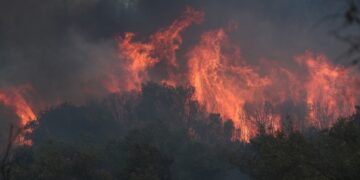 Φλόγες καταπίνουν τα δάση στον Έβρο (φωτ.: ΜΟΤΙΟΝΤΕΑΜ/Βασίλης Βερβερίδης)