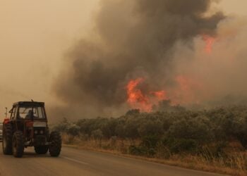Εικόνες καταστροφής στην περιοχή της Αλεξανδρούπολης (φωτ.: ΜΟΤΙΟΝΤΕΑΜ//Βασίλης Βερβερίδης)