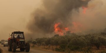 Εικόνες καταστροφής στην περιοχή της Αλεξανδρούπολης (φωτ.: ΜΟΤΙΟΝΤΕΑΜ//Βασίλης Βερβερίδης)
