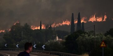 Στιγμιότυπο από πυρκαγιά στην Νέα Ζωή Ασπρόπυργου τον περασμένο Ιούλιο (φωτ.: EUROKINISSI/Μιχάλης Καραγιάννης)