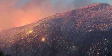 Στιγμιότυπο από την πυρκαγιά στην περιοχή του Διστόμου (φωτ.: ΑΠΕ-ΜΠΕ)