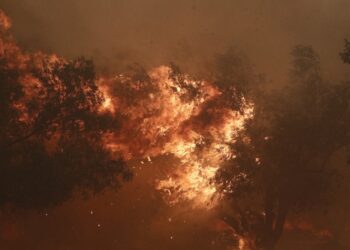 Οι φλόγες έφτασαν πολύ κοντά στην Ιερά Μονή Κοιμήσεως Θεοτόκου «Κλειστών» (φωτ.: EUROKINISSI/Σωτήρης Δημητρόπουλος)