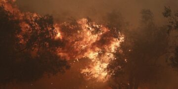 Οι φλόγες έφτασαν πολύ κοντά στην Ιερά Μονή Κοιμήσεως Θεοτόκου «Κλειστών» (φωτ.: EUROKINISSI/Σωτήρης Δημητρόπουλος)