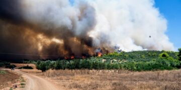 Οι φλόγες καίνε περιοχή στα Ψαχνά Εύβοιας (φωτ.: EUROKINISSI/Θοδωρής Νικολάου)
