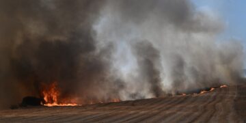Φλόγες κατακαίνε χωράφι στη Νέα Αγχίαλο (φωτ.: EUROKINISSI/Τατιάνα Μπόλαρη)