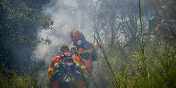 (Φωτ. αρχείου: Γιάννης Σπυρούνης / ilialive.gr)