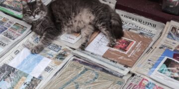 Αναγνώστες όλων των... ειδών για τις κυριακάτικες εφημερίδες (φωτ.: EUROKINISSI/Κώστας Τζούμας)