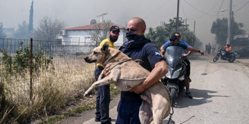 (Φωτ.: EUROKINISSI / Τατιάνα Μπόλαρη)