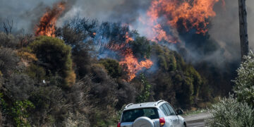 (Φωτ. αρχείου: EUROKINISSI / Μιχάλης Καραγιάννης)