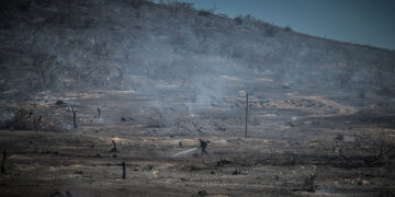 Μετά την πρόσφατη πυρκαγιά στη νοτιοανατολική Αττική, Τρίτη 18 Ιουλίου 2023 
(φωτ.: EUROKINISSI / Τατιάνα Μπόλαρη)