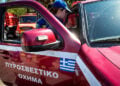 (Φωτ. αρχείου: EUROKINISSI / Τατιάνα Μπόλαρη)