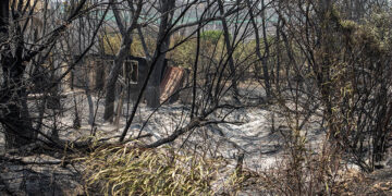 Καμένη γη στη νότια Ρόδο, στο παραθαλάσσιο Κιοτάρι (φωτ.: EUROKINISSI / Λευτέρης Δαμιανίδης)
