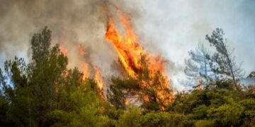 Φλόγες καίνε πευκόδασος (φωτ. αρχείου: EUROKINISSI/Λευτέρης Δαμιανίδης)
