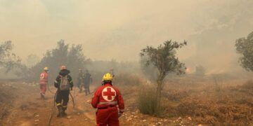 Εθελοντές Σαμαρείτες-διασώστες από Αθήνα και τα Περιφερειακά Τμήματα Λιβαδειάς και Θήβας του Ελληνικού Ερυθρού Σταυρού επιχειρούν στο Σαράντη Βοιωτίας (φωτ.: ΑΠΕ-ΜΠΕ/Ελληνικός Ερυθρός Σταυρός)