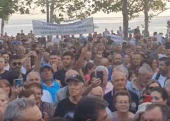 Στιγμιότυπο από τη συγκέντρωση διαμαρτυρίας στη Χειμάρρα (φωτ.: facebook/Alexandros Zioulis)