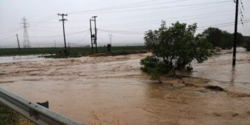Πλημμυρισμένες περιοχές της Θεσσαλίας τη δεύτερη μέρα της κακοκαιρίας DANIEL (φωτ.: ΑΠΕ-ΜΠΕ/ΑΡΗΣ ΜΑΡΤΑΚΟΣ)