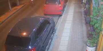 (Πηγή φωτ.: Βίντεο ΕΡΤ)