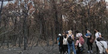 Η ομάδα των παιδιών στο καμένο δάσος της Δαδιάς (φωτ.: facebook/ΑΡΣΙΣ - Ξενώνας «Έλλη», Αλεξανδρούπολη)