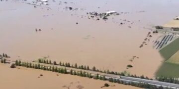 Χαρακτηριστική εικόνα από την περιοχή Γυρτώνης-Συκουρίου κοντά στη Λάρισα (φωτ.: Χ)