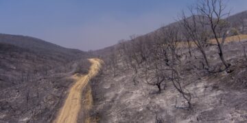 Καμμένη γη στην κυριολεξία σε ένα τεράστιο κομμάτι του Έβρου (φωτ.: ΜΟΤΙΟΝΤΕΑΜ/Βασίλης Βερβερίδης)