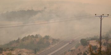 Φλόγες και πυκνοί καπνοί για 15η ημέρα στις περιοχές του Έβρου (φωτ.: ΜΟΤΙΟΝΤΕΑΜ/Βασίλης Βερβερίδης)