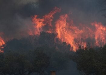 Φλόγες κατακαίουν τις δασικές εκτάσεις του Έβρου (φωτ.: ΜΟΤΙΟΝΤΕΑΜ/Βασίλης Βερβερίδης)