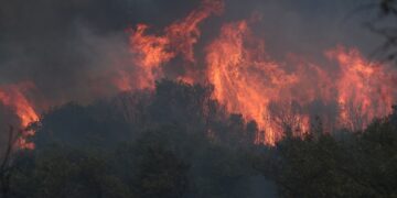 Φλόγες κατακαίουν τις δασικές εκτάσεις του Έβρου (φωτ.: ΜΟΤΙΟΝΤΕΑΜ/Βασίλης Βερβερίδης)