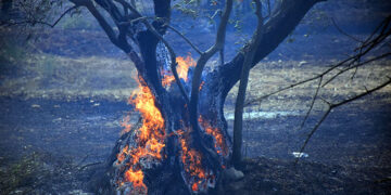 (Φωτ. αρχείου: Eurokinissi / Βασίλης Παπαδόπουλος)
